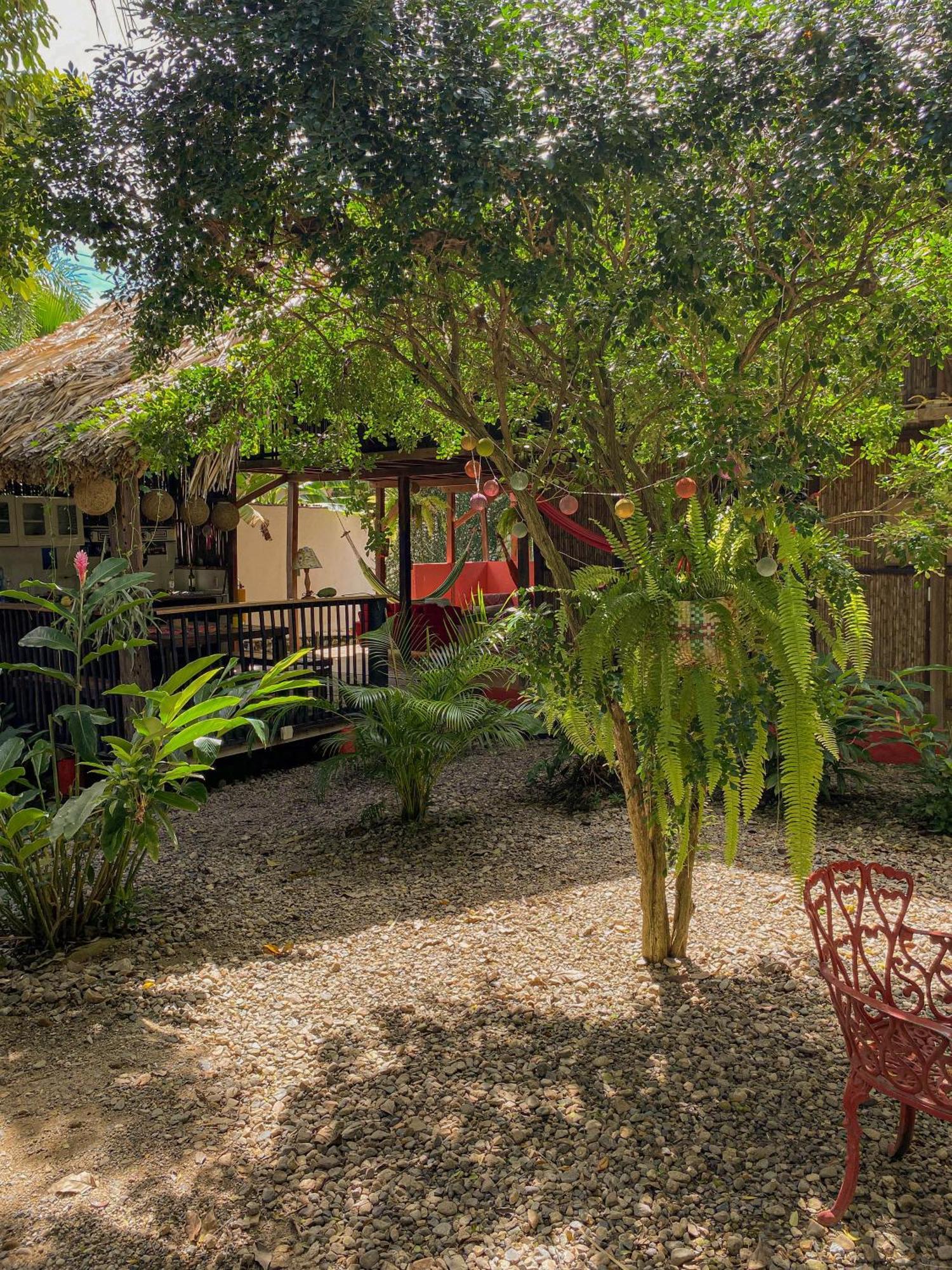 Hostal Zinpar بالومينو المظهر الخارجي الصورة